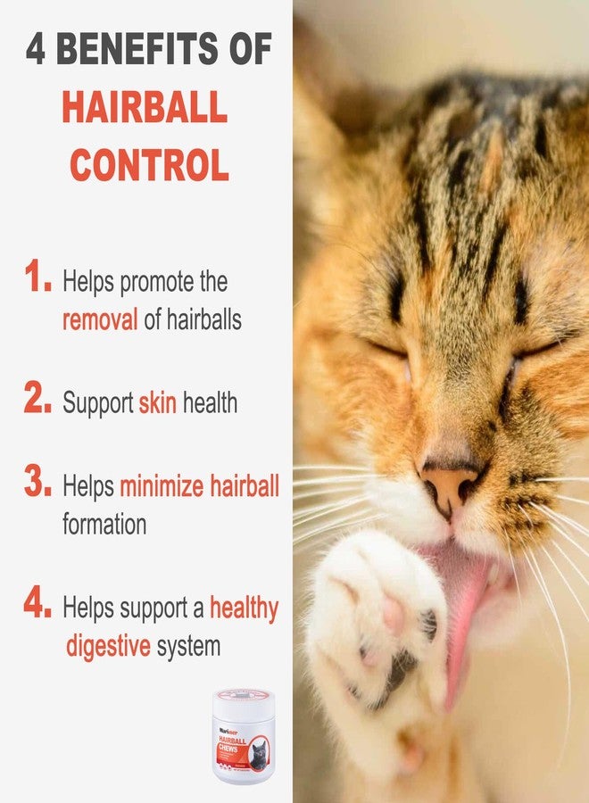 MARIMER Hairball Control Chews for Cats – Psyllium Husk, Lecithin, Omegas 3-6-9, Zinc & Biotin – Digestive & Skin Support for Hairball Reduction – Soft Chews, Chicken Flavor, 100 Count - Image 2